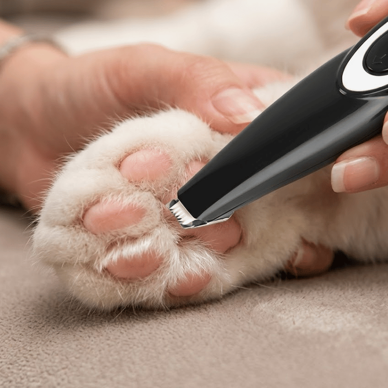 Dog Grooming Kit with Bag – USB Clipper, Nail Cutter & Trimmer