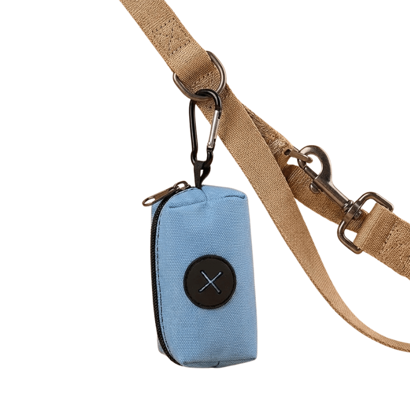 Dog Walking Starter Kit 