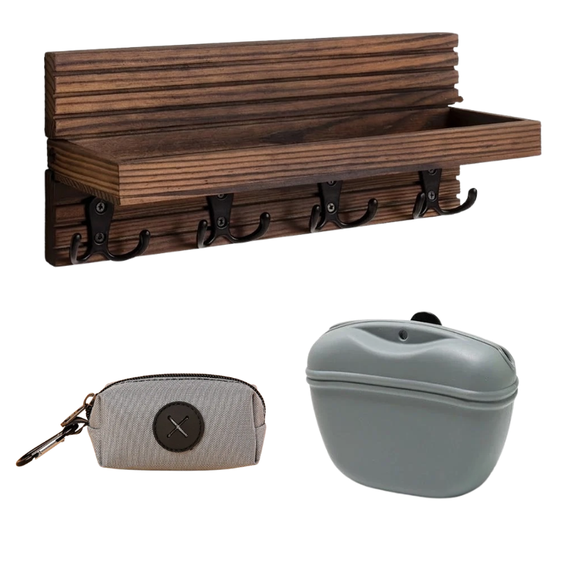 Dog Walking Starter Kit 