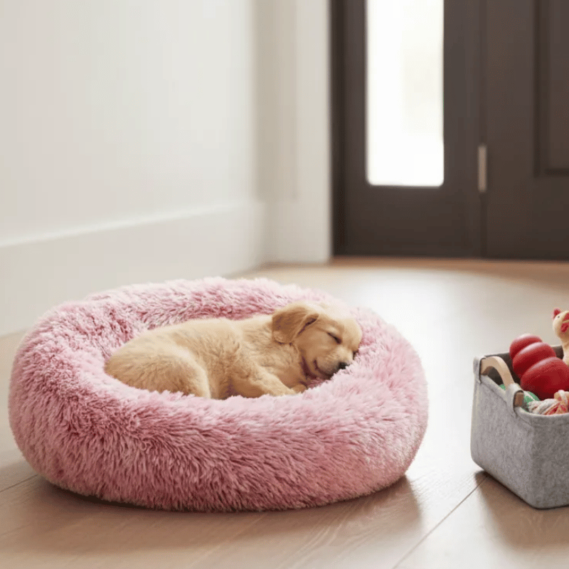 Puppy Starter Gift Kit – Bed, Mat, Toy Basket & Leash Set