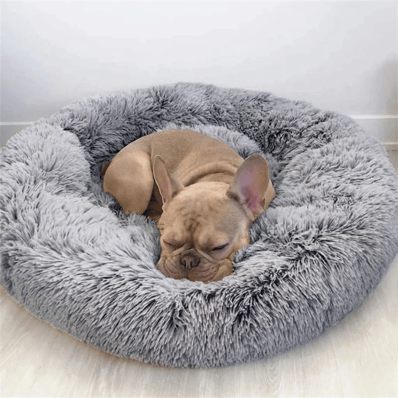 Puppy Starter Gift Kit – Bed, Mat, Toy Basket & Leash Set