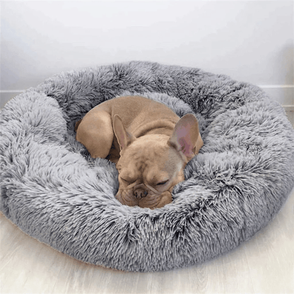Puppy Starter Gift Kit – Bed, Mat, Toy Basket & Leash Set