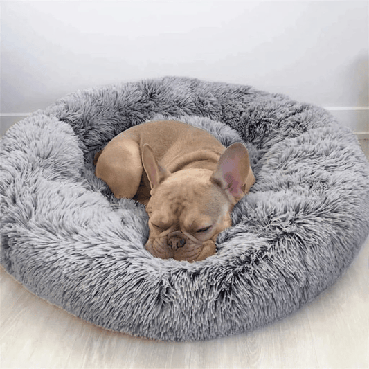 Puppy Starter Gift Kit – Bed, Mat, Toy Basket & Leash Set