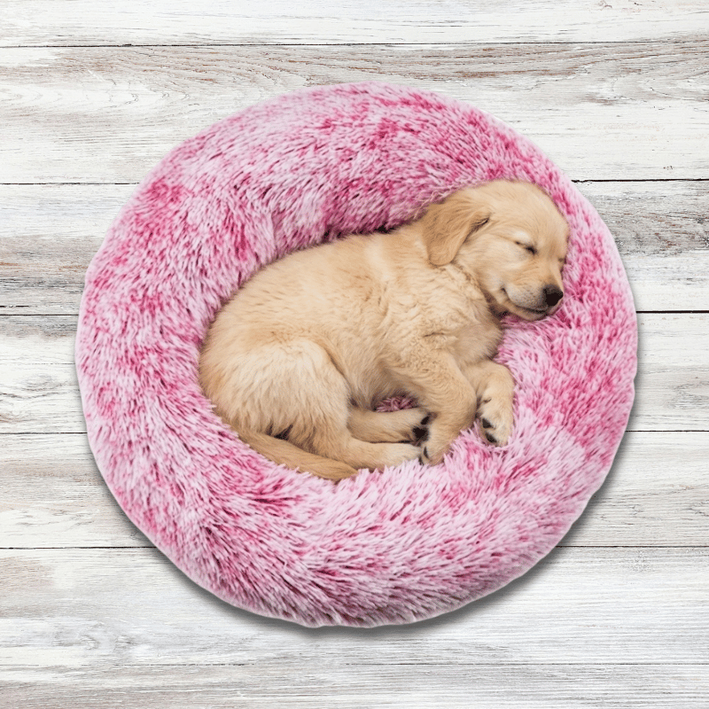 Puppy Starter Gift Kit – Bed, Mat, Toy Basket & Leash Set