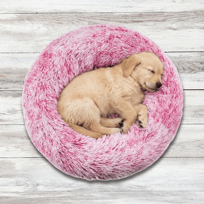 Puppy Starter Gift Kit – Bed, Mat, Toy Basket & Leash Set